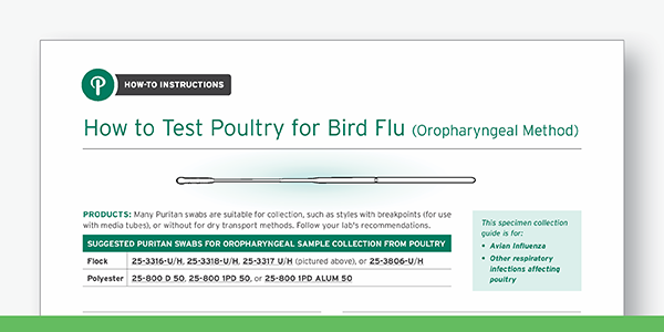 Bird Flu Guide Resource CTA