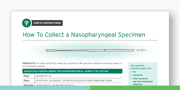 Collect Nasopharangeal Speciment