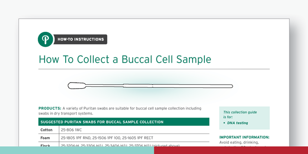 How to collect a buccal cell sample