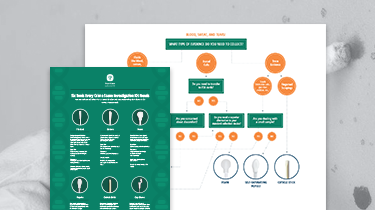 DNA_Evidence_Collection_Flowchart_Infographic-8